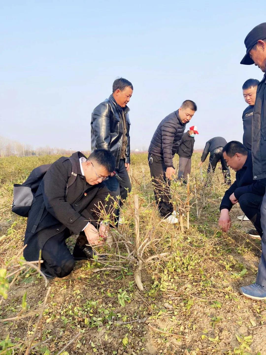 微信图片_20211216164629.jpg 微信图片_20211216164629.jpg